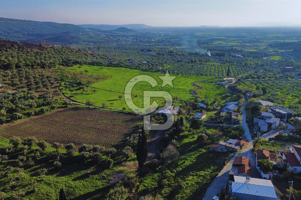 Foça Yeniköy'de Köy Merkezine Yakın Satılık Tarla