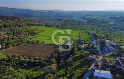 Foça Yeniköy'de Köy Merkezine Yakın Satılık Tarla