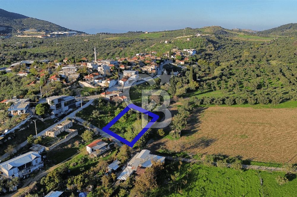 Foça Yeniköy'de Köy Merkezine Yakın Satılık Tarla