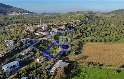 Foça Yeniköy'de Köy Merkezine Yakın Satılık Tarla