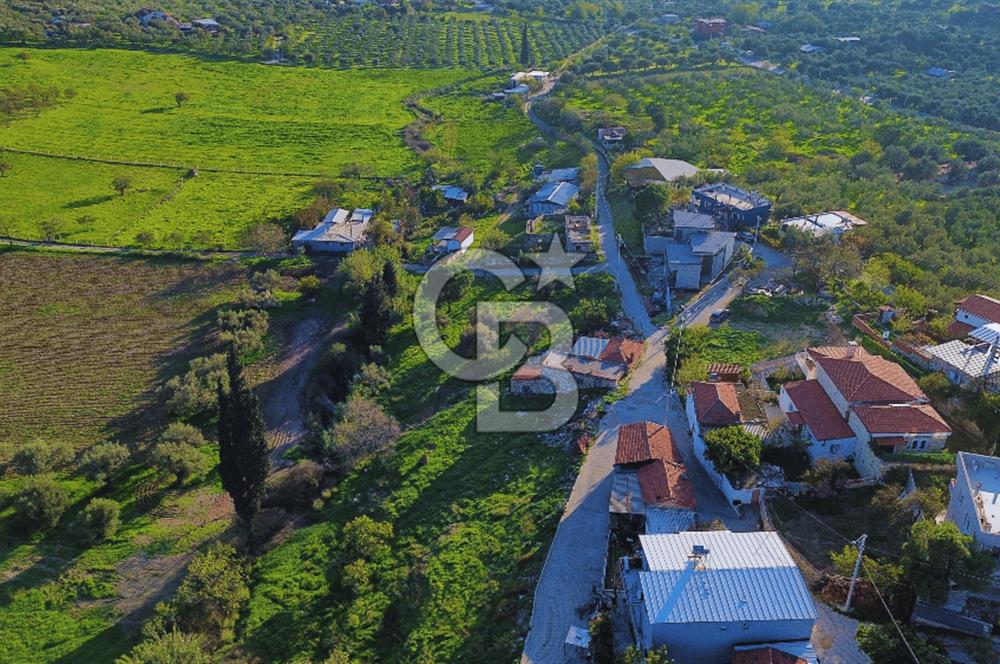 Foça Yeniköy'de Köy Merkezine Yakın Satılık Tarla