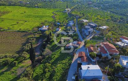 Foça Yeniköy'de Köy Merkezine Yakın Satılık Tarla