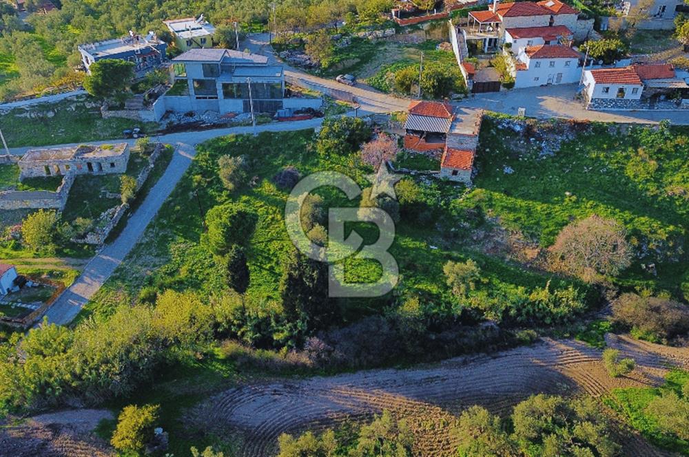 Foça Yeniköy'de Köy Merkezine Yakın Satılık Tarla