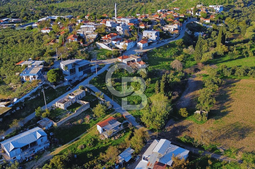 Foça Yeniköy'de Köy Merkezine Yakın Satılık Tarla