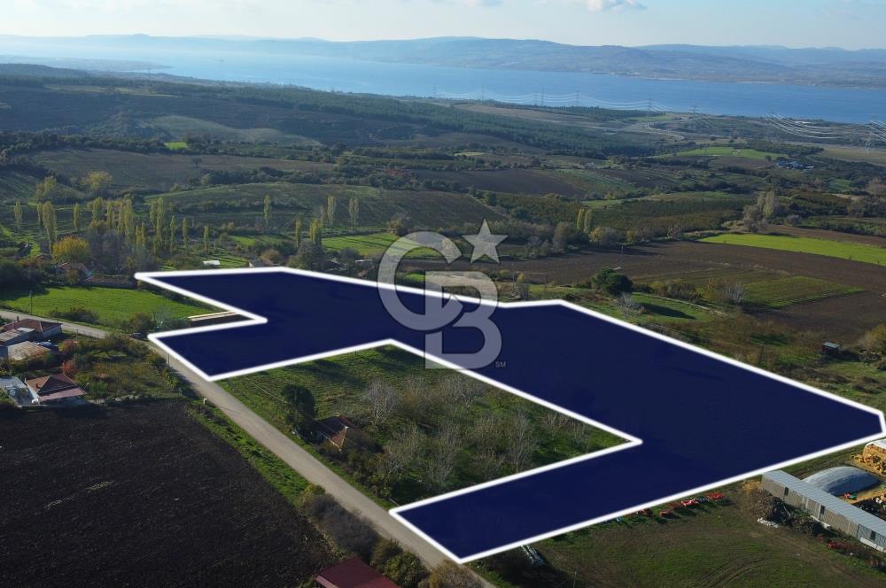 Çanakkale Lapseki Kocaveli Boğaz Manz. Tamamı İmarlı Kupon Arazi
