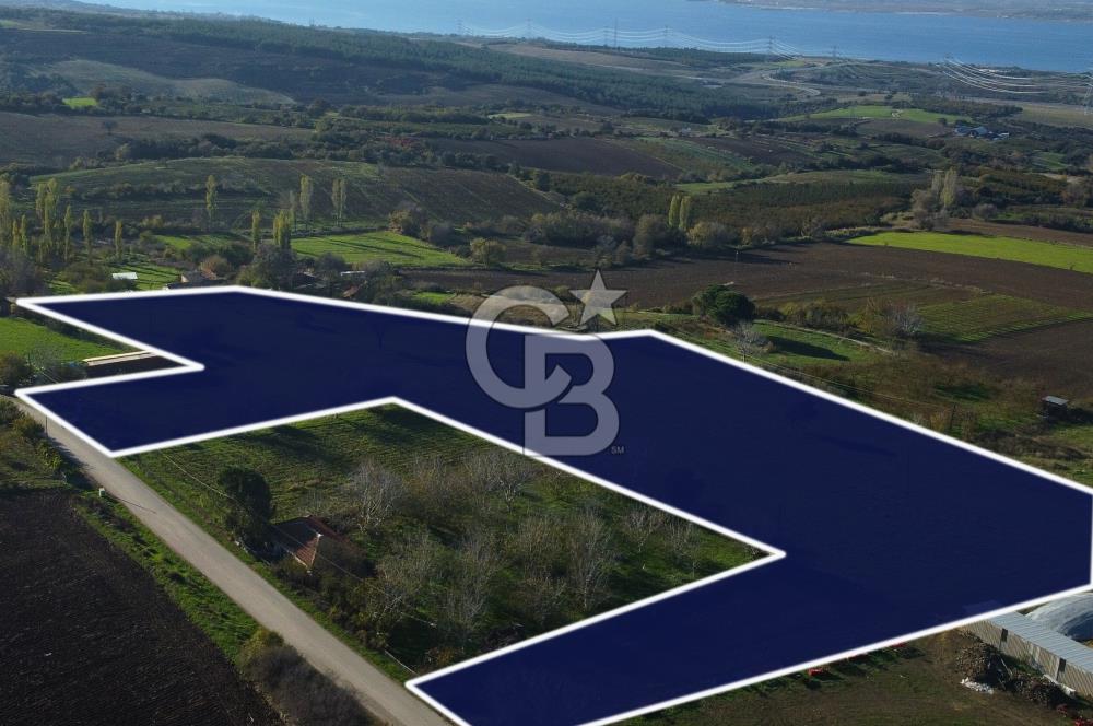 Çanakkale Lapseki Kocaveli Boğaz Manz. Tamamı İmarlı Kupon Arazi