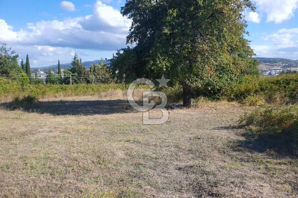 YALOVA MERKEZ FEVZİÇAKMAK 3 KAT İMARLI KÖŞE PARSEL SATILIK ARSA 654 M2