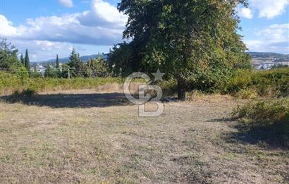 YALOVA MERKEZ FEVZİÇAKMAK 3 KAT İMARLI KÖŞE PARSEL SATILIK ARSA 654 M2