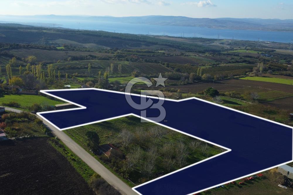 Çanakkale Lapseki Kocaveli Boğaz Manz. Tamamı İmarlı Kupon Arazi