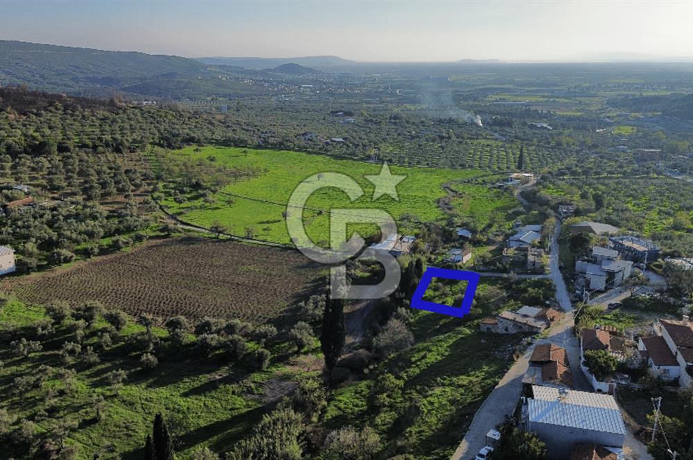 Foça Yeniköy'de Köy Merkezine Yakın Satılık Tarla