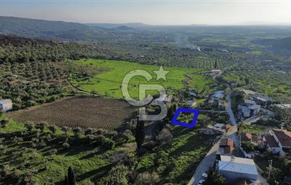 Foça Yeniköy'de Köy Merkezine Yakın Satılık Tarla