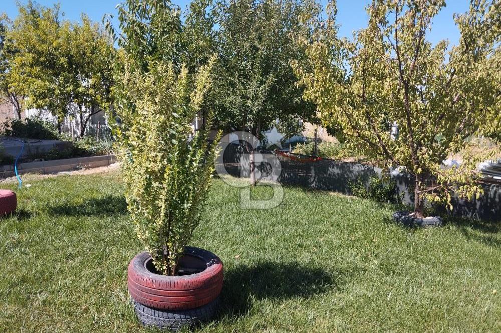 CB CITY'DEN DOĞANKAYA'DA SATILIK HOBİ BAHÇESİ