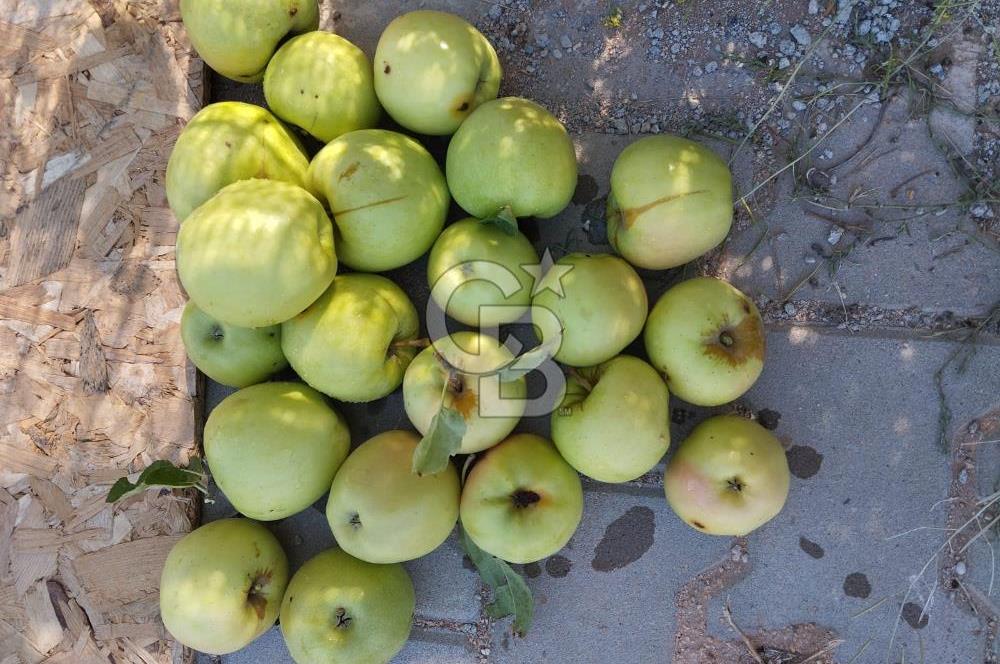 CB CITY'DEN DOĞANKAYA'DA SATILIK HOBİ BAHÇESİ