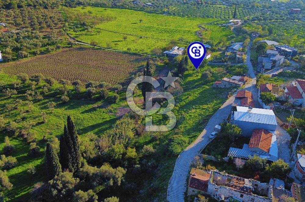 Foça Yeniköy'de Köy Merkezine Yakın Satılık Tarla