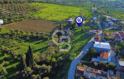 Foça Yeniköy'de Köy Merkezine Yakın Satılık Tarla