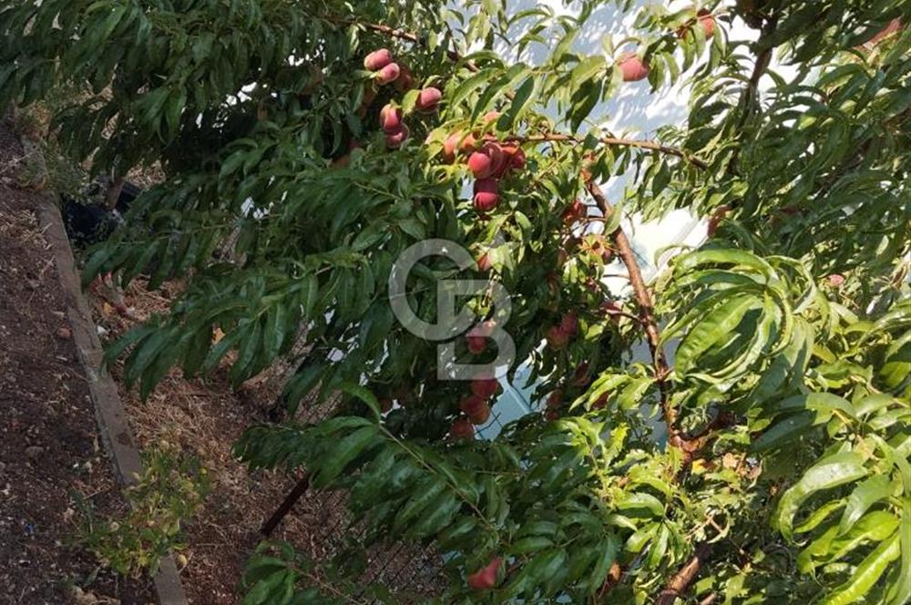 CB CITY'DEN DOĞANKAYA'DA SATILIK HOBİ BAHÇESİ