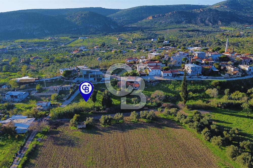 Foça Yeniköy'de Köy Merkezine Yakın Satılık Tarla