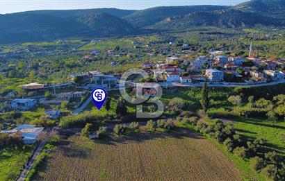 Foça Yeniköy'de Köy Merkezine Yakın Satılık Tarla