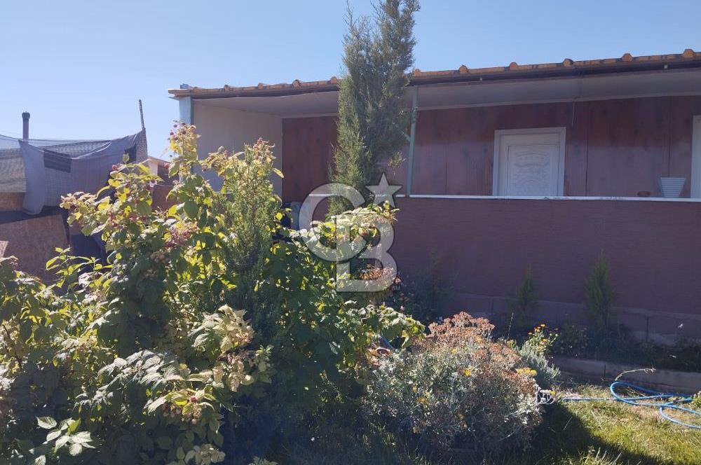 CB CITY'DEN DOĞANKAYA'DA SATILIK HOBİ BAHÇESİ