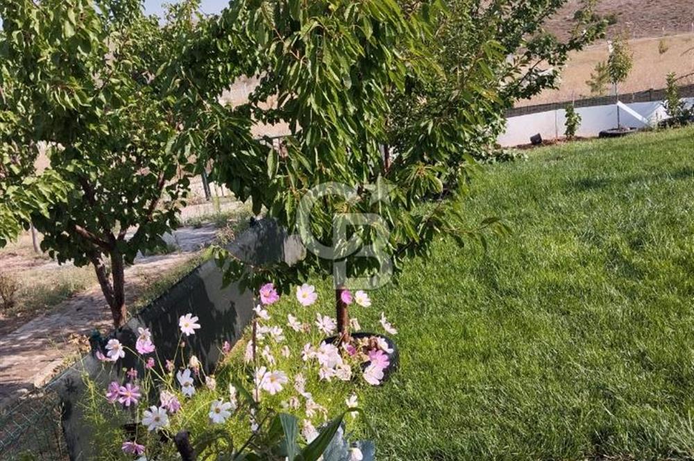 CB CITY'DEN DOĞANKAYA'DA SATILIK HOBİ BAHÇESİ