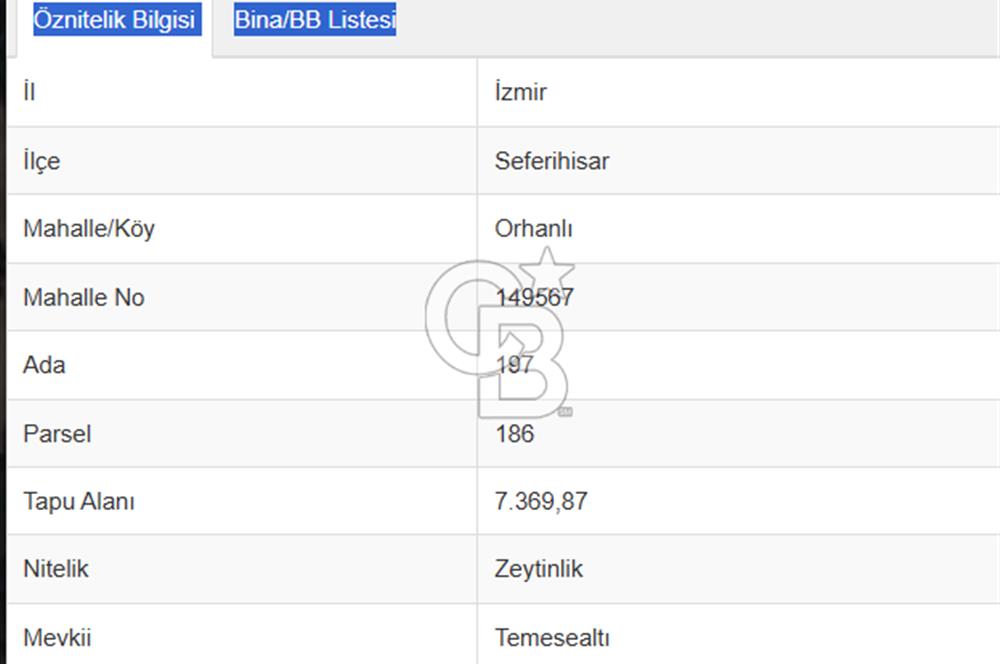                          İZMİR SEFERİHİSAR ORHANLI KÖYÜNDE SATILIK ZEYTİNLİK