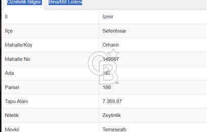                          İZMİR SEFERİHİSAR ORHANLI KÖYÜNDE SATILIK ZEYTİNLİK