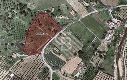                          İZMİR SEFERİHİSAR ORHANLI KÖYÜNDE SATILIK ZEYTİNLİK