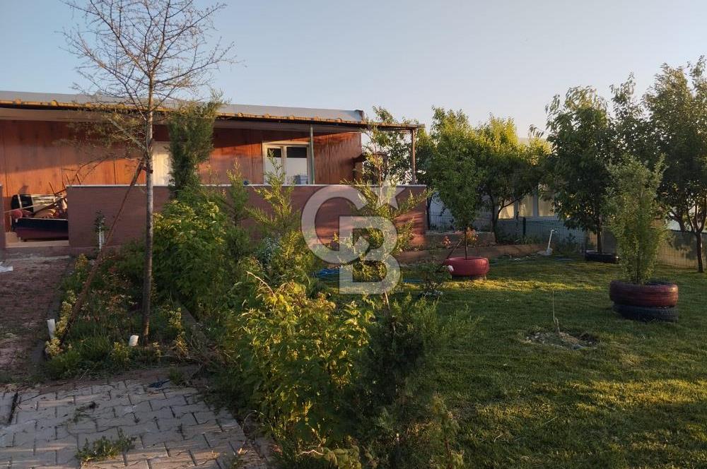 CB CITY'DEN DOĞANKAYA'DA SATILIK HOBİ BAHÇESİ