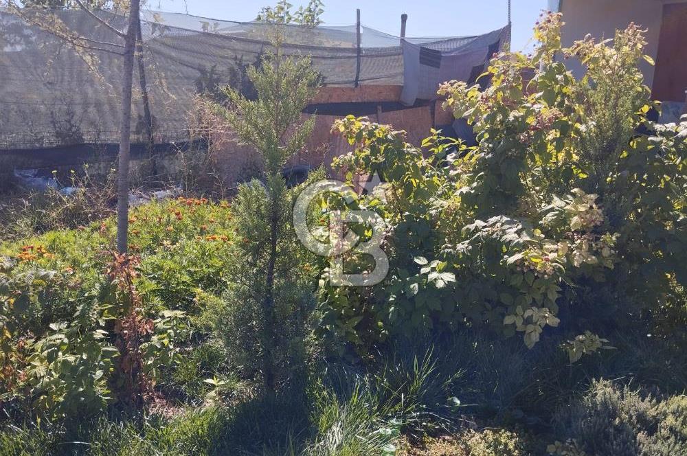 CB CITY'DEN DOĞANKAYA'DA SATILIK HOBİ BAHÇESİ