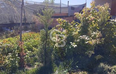 CB CITY'DEN DOĞANKAYA'DA SATILIK HOBİ BAHÇESİ
