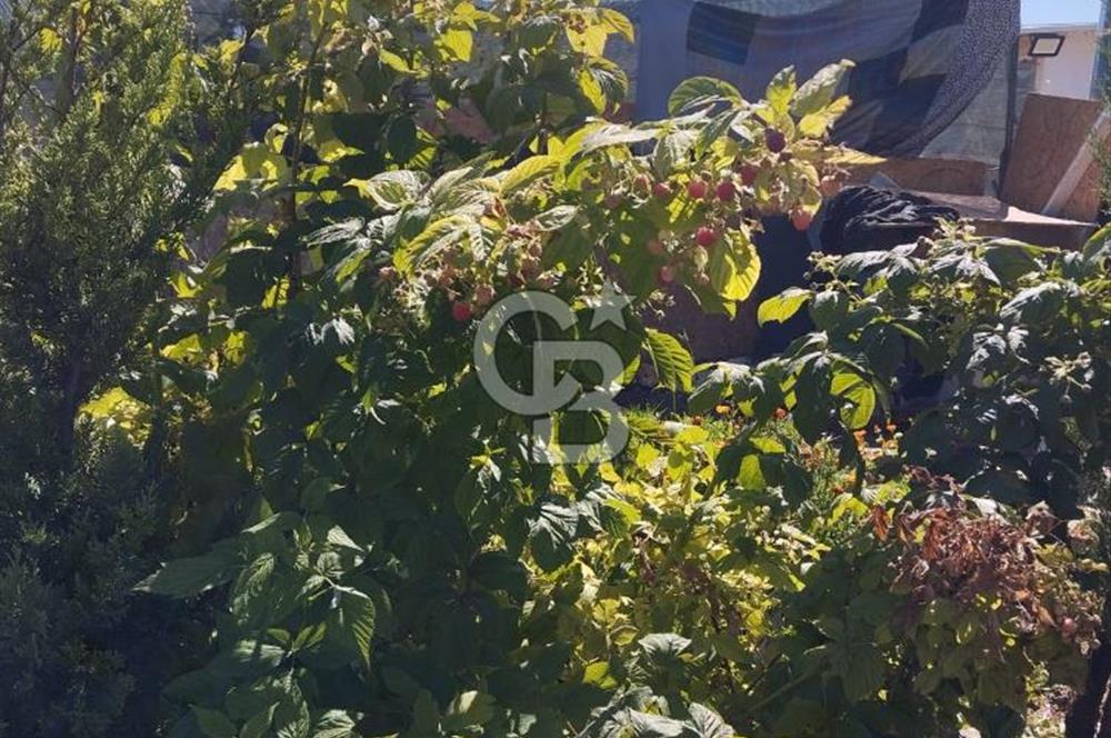 CB CITY'DEN DOĞANKAYA'DA SATILIK HOBİ BAHÇESİ