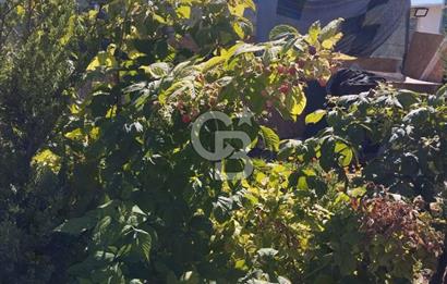 CB CITY'DEN DOĞANKAYA'DA SATILIK HOBİ BAHÇESİ