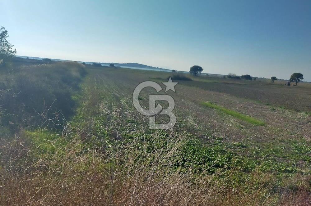 ÇANAKKALE / KÜÇÜKANAFARTALAR / ÇAYIRLAR MEVKİİ 5356 m2 TARLA