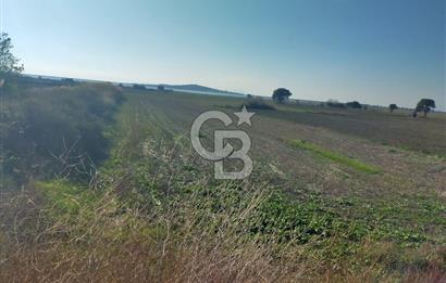 ÇANAKKALE / KÜÇÜKANAFARTALAR / ÇAYIRLAR MEVKİİ 5356 m2 TARLA