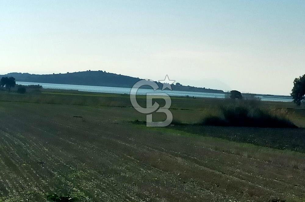 ÇANAKKALE / KÜÇÜKANAFARTALAR / ÇAYIRLAR MEVKİİ 5356 m2 TARLA