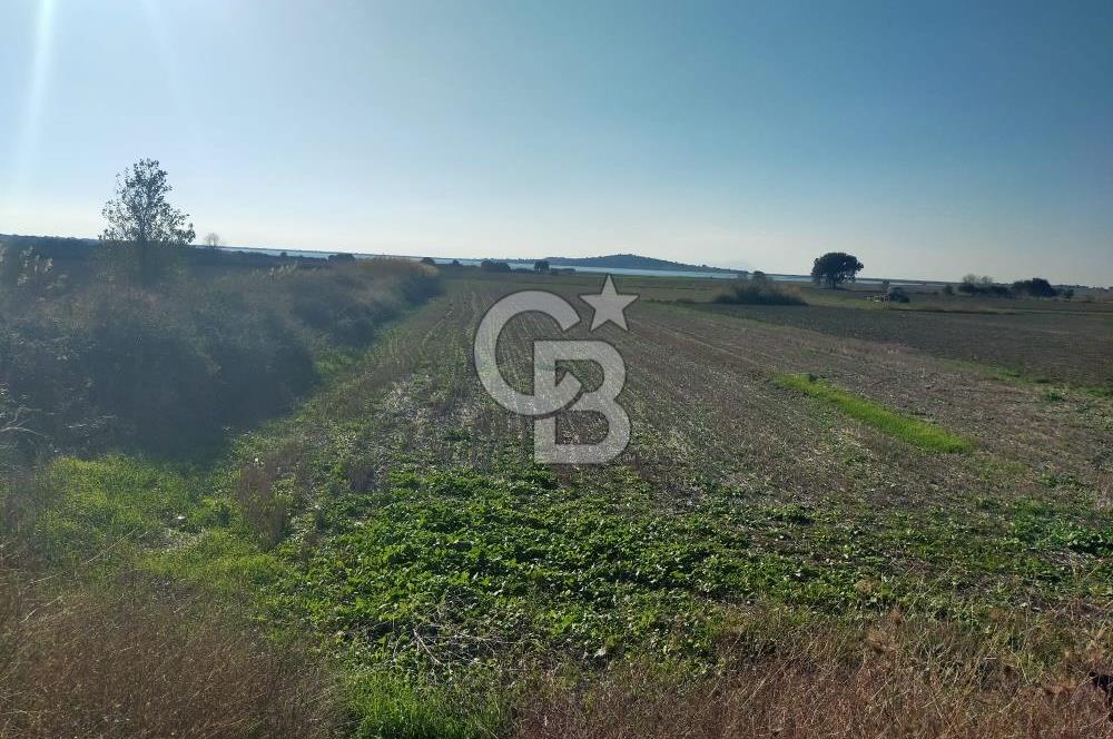 ÇANAKKALE / KÜÇÜKANAFARTALAR / ÇAYIRLAR MEVKİİ 5356 m2 TARLA