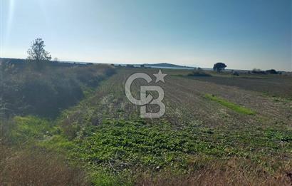 ÇANAKKALE / KÜÇÜKANAFARTALAR / ÇAYIRLAR MEVKİİ 5356 m2 TARLA