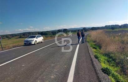 ÇANAKKALE / KÜÇÜKANAFARTALAR / ÇAYIRLAR MEVKİİ 5356 m2 TARLA