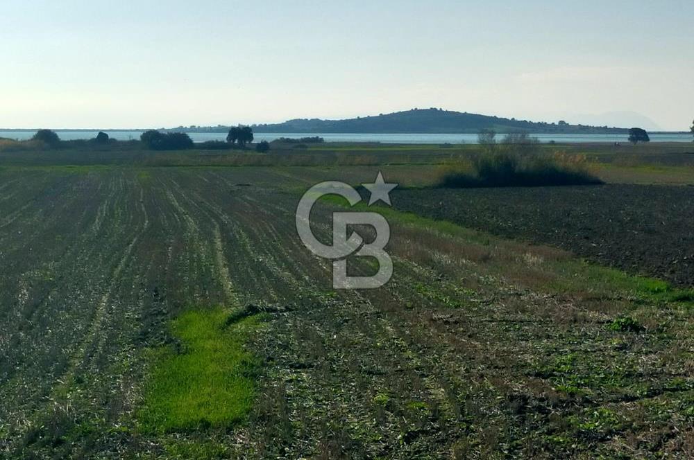 ÇANAKKALE / KÜÇÜKANAFARTALAR / ÇAYIRLAR MEVKİİ 5356 m2 TARLA