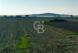 ÇANAKKALE / KÜÇÜKANAFARTALAR / ÇAYIRLAR MEVKİİ 5356 m2 TARLA - 2 - 314923