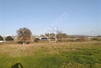 İZMİR DİKİLİDE ÇANAKKALE ASFALTI YAKINI TARLA - 1 - 314924