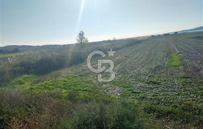 ÇANAKKALE / KÜÇÜKANAFARTALAR / ÇAYIRLAR MEVKİİ 5356 m2 TARLA