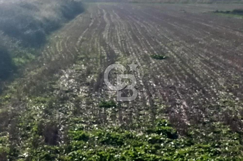 ÇANAKKALE / KÜÇÜKANAFARTALAR / ÇAYIRLAR MEVKİİ 5356 m2 TARLA