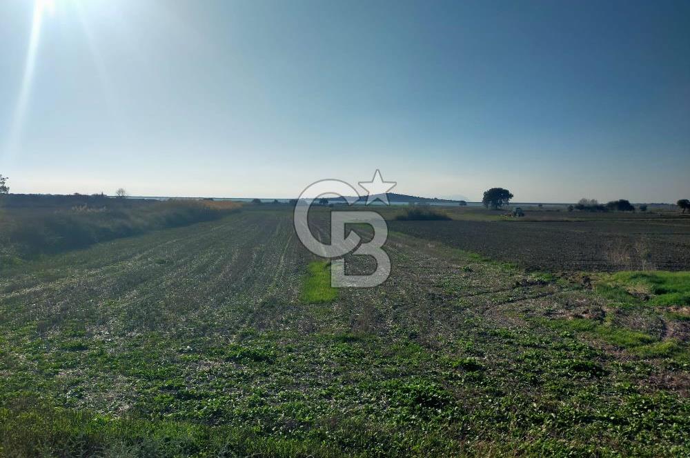 ÇANAKKALE / KÜÇÜKANAFARTALAR / ÇAYIRLAR MEVKİİ 5356 m2 TARLA