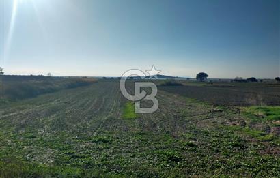 ÇANAKKALE / KÜÇÜKANAFARTALAR / ÇAYIRLAR MEVKİİ 5356 m2 TARLA