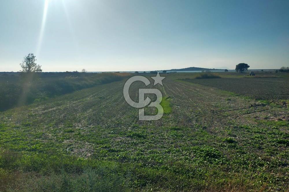 ÇANAKKALE / KÜÇÜKANAFARTALAR / ÇAYIRLAR MEVKİİ 5356 m2 TARLA