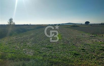 ÇANAKKALE / KÜÇÜKANAFARTALAR / ÇAYIRLAR MEVKİİ 5356 m2 TARLA