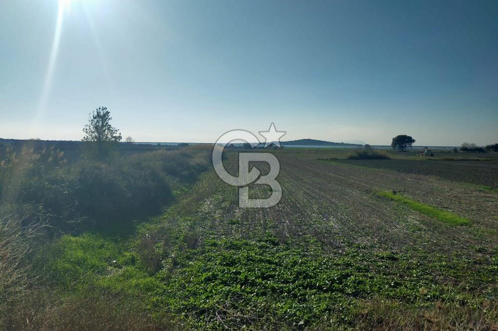ÇANAKKALE / KÜÇÜKANAFARTALAR / ÇAYIRLAR MEVKİİ 5356 m2 TARLA