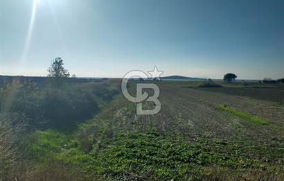 ÇANAKKALE / KÜÇÜKANAFARTALAR / ÇAYIRLAR MEVKİİ 5356 m2 TARLA