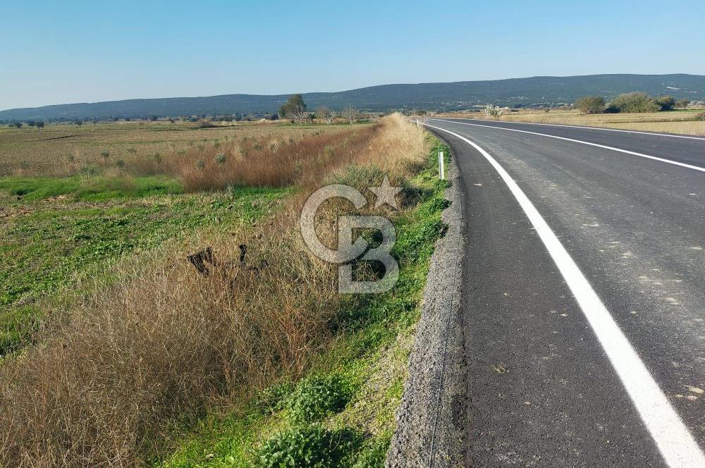 ÇANAKKALE / KÜÇÜKANAFARTALAR / ÇAYIRLAR MEVKİİ 5356 m2 TARLA